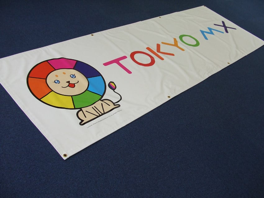 東京メトロポリタンテレビジョン様