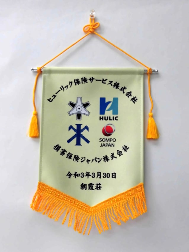 損害保険ジャパン様