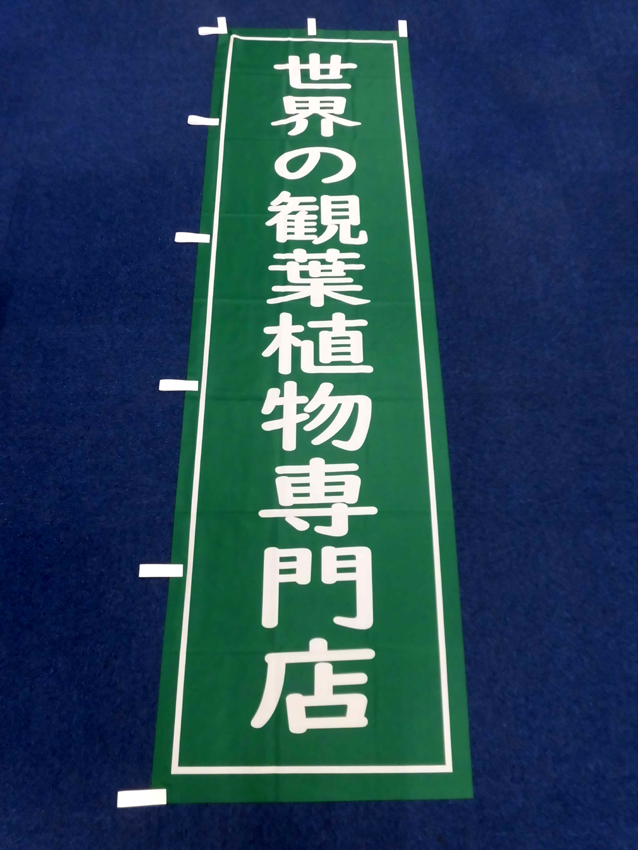 >Massimo Botanico様