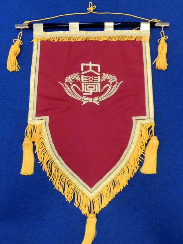 早稲田大学バナー