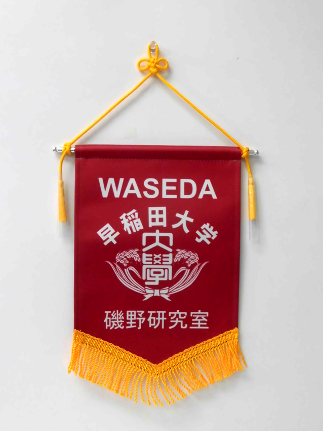早稲田大学磯野正典ゼミ