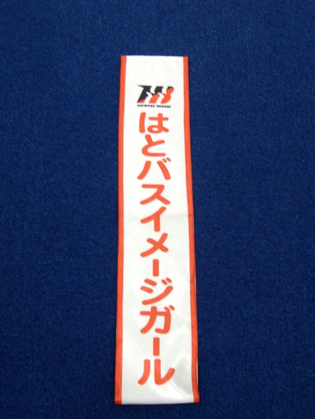 はとバスイメージガール様